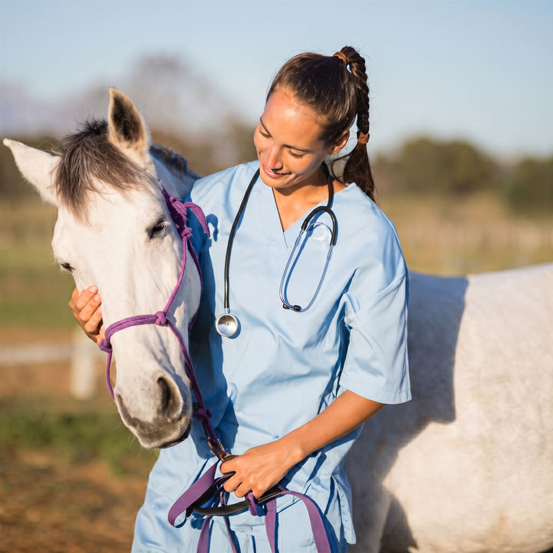 Nuestra veterinaria de confianza con un caballo