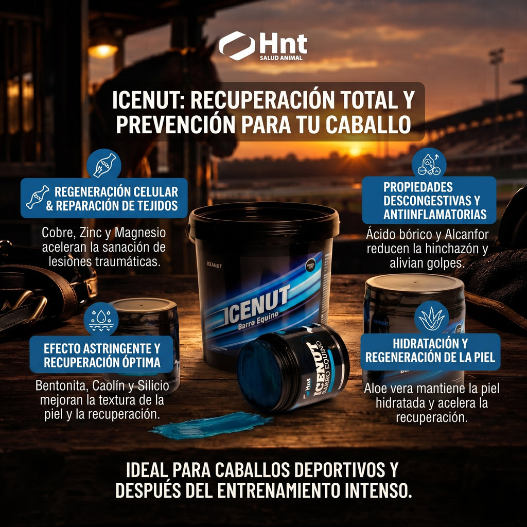 ICENUT de HNT: Beneficios clave