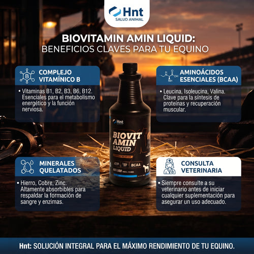 BIOVITAMIN Liquid de HNT: Beneficios clave