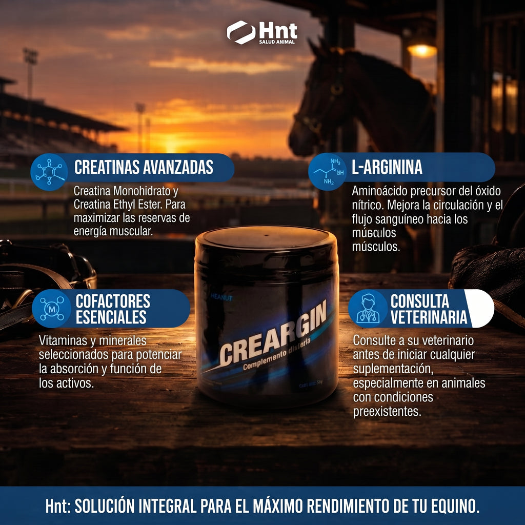 CREARGIN de HNT: Fórmula e ingredientes