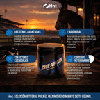 CREARGIN de HNT: Fórmula e ingredientes