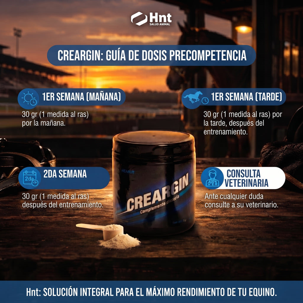 CREARGIN de HNT: Dosis y administración