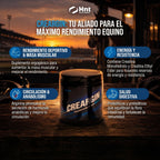 CREARGIN de HNT: Beneficios clave
