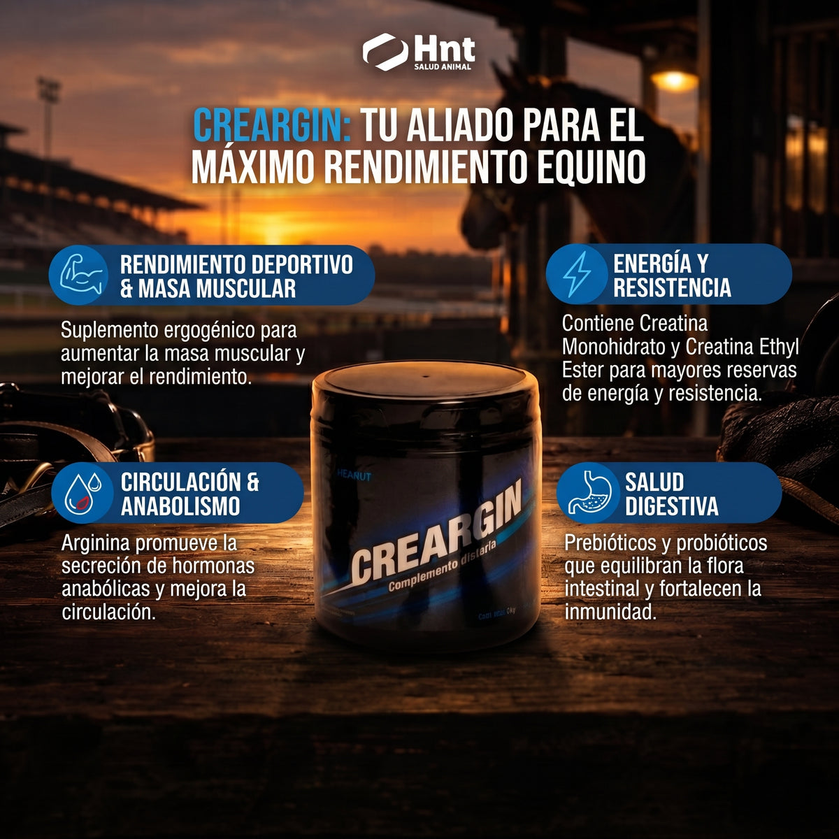 CREARGIN de HNT: Beneficios clave