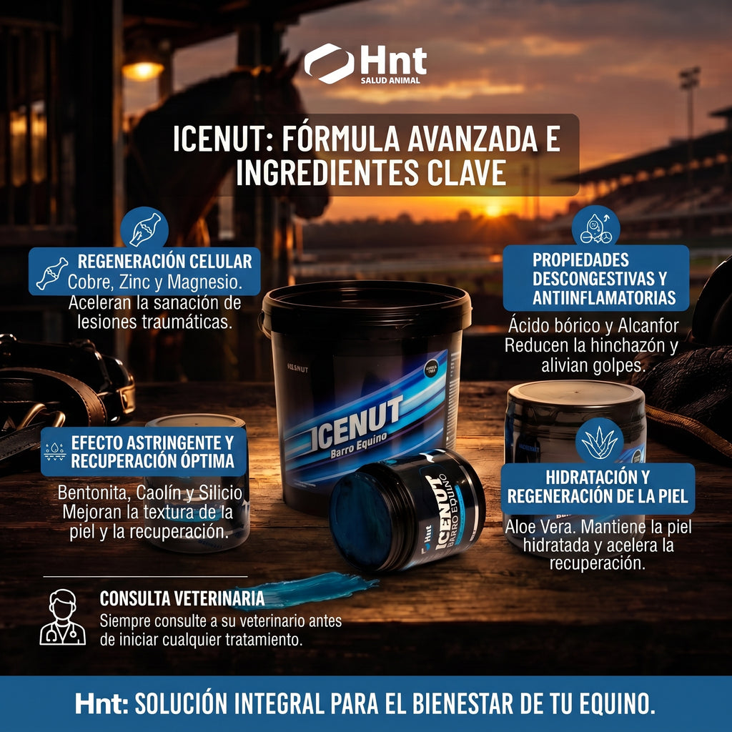 ICENUT de HNT: Fórmula e ingredientes