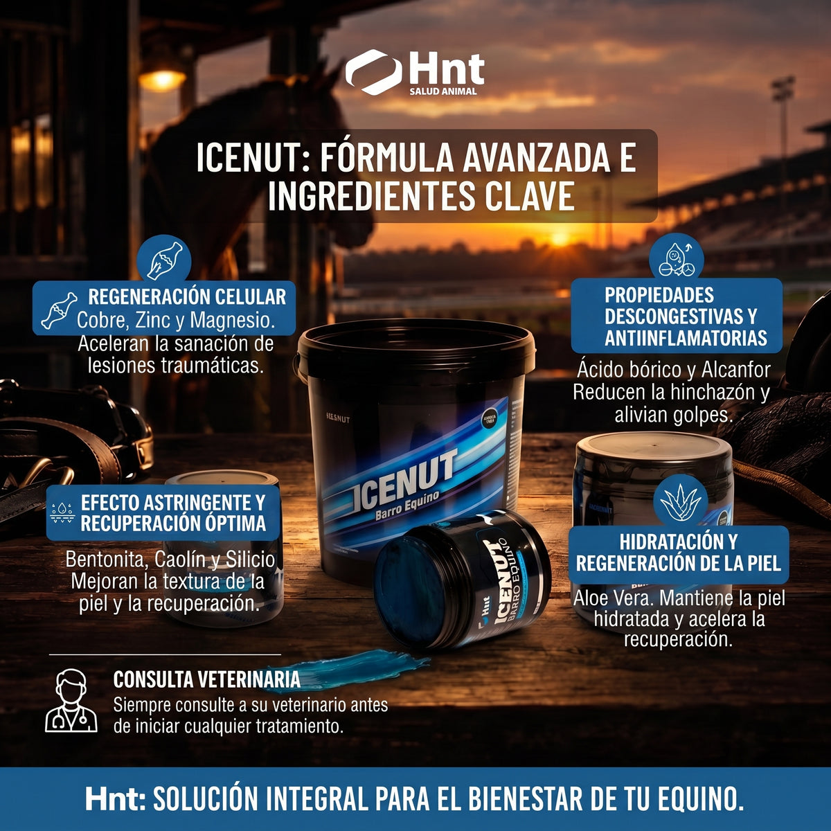 ICENUT de HNT: Fórmula e ingredientes