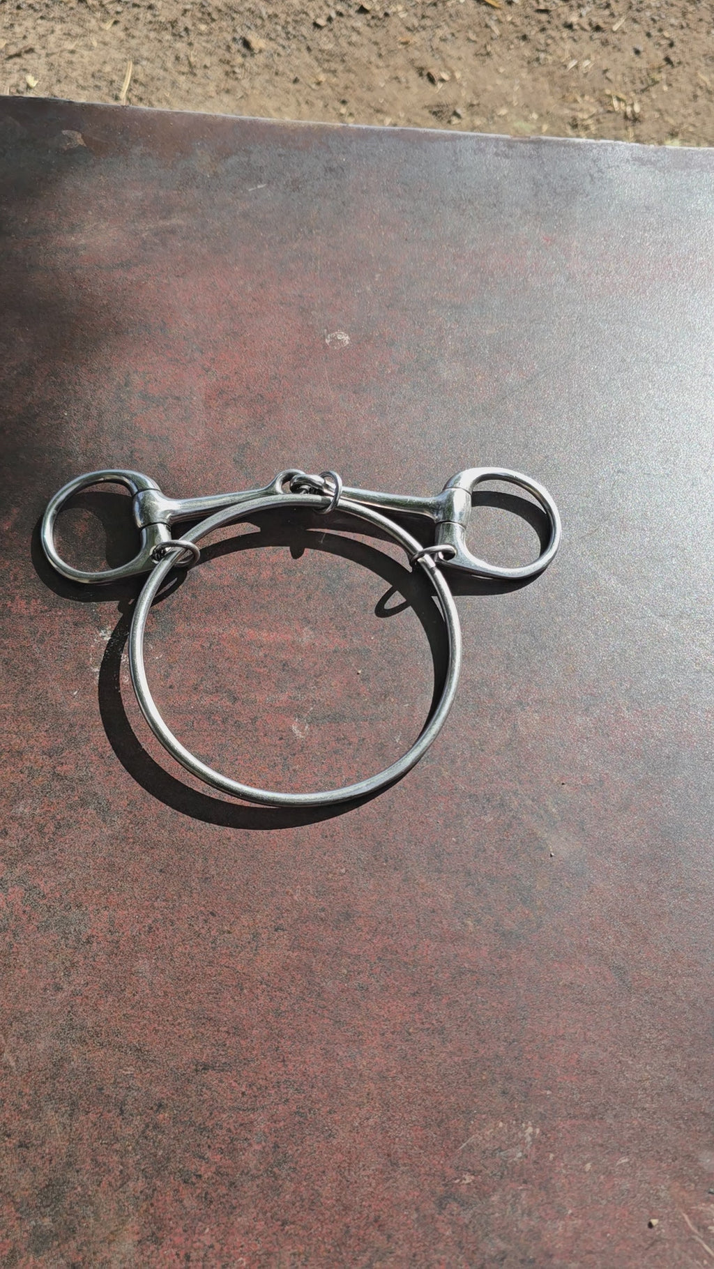 Ring Bit Dexter de cerca