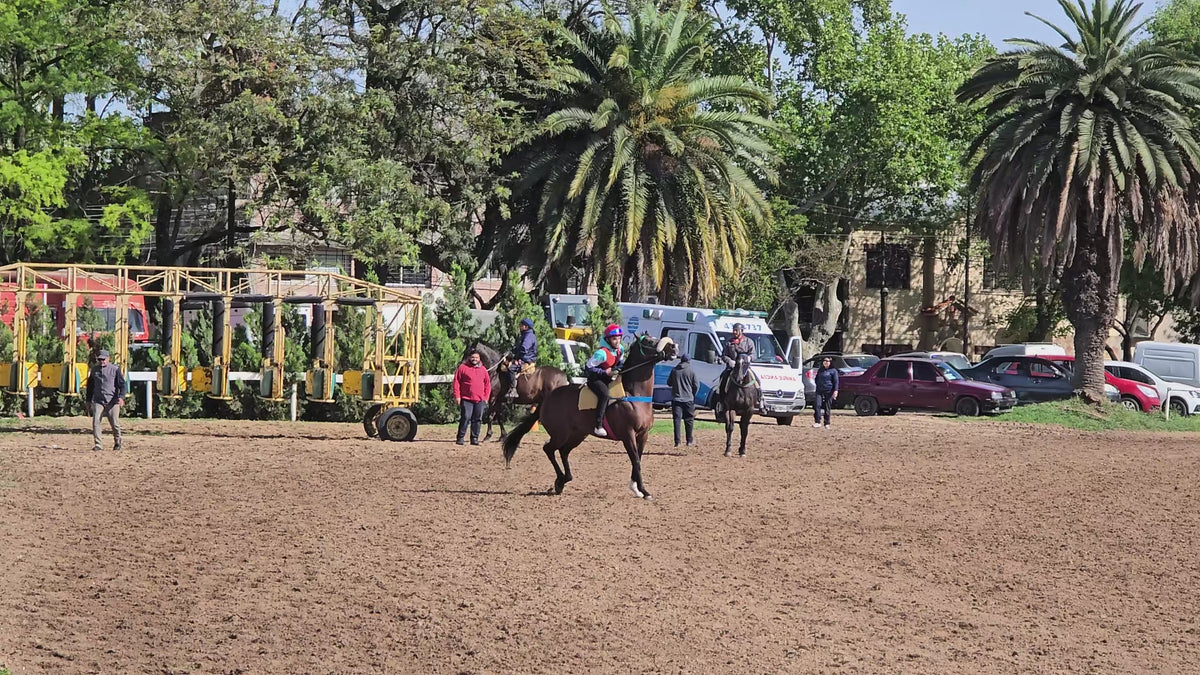Caballo de carrera galopando en la pista