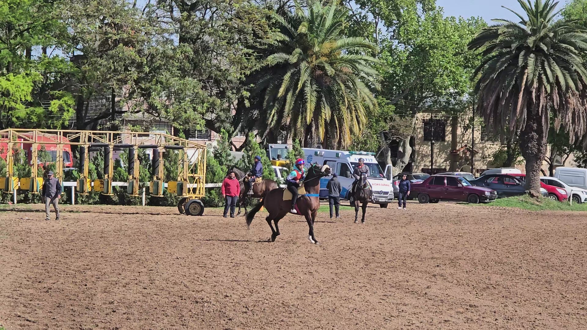 Caballo de carrera galopando en la pista