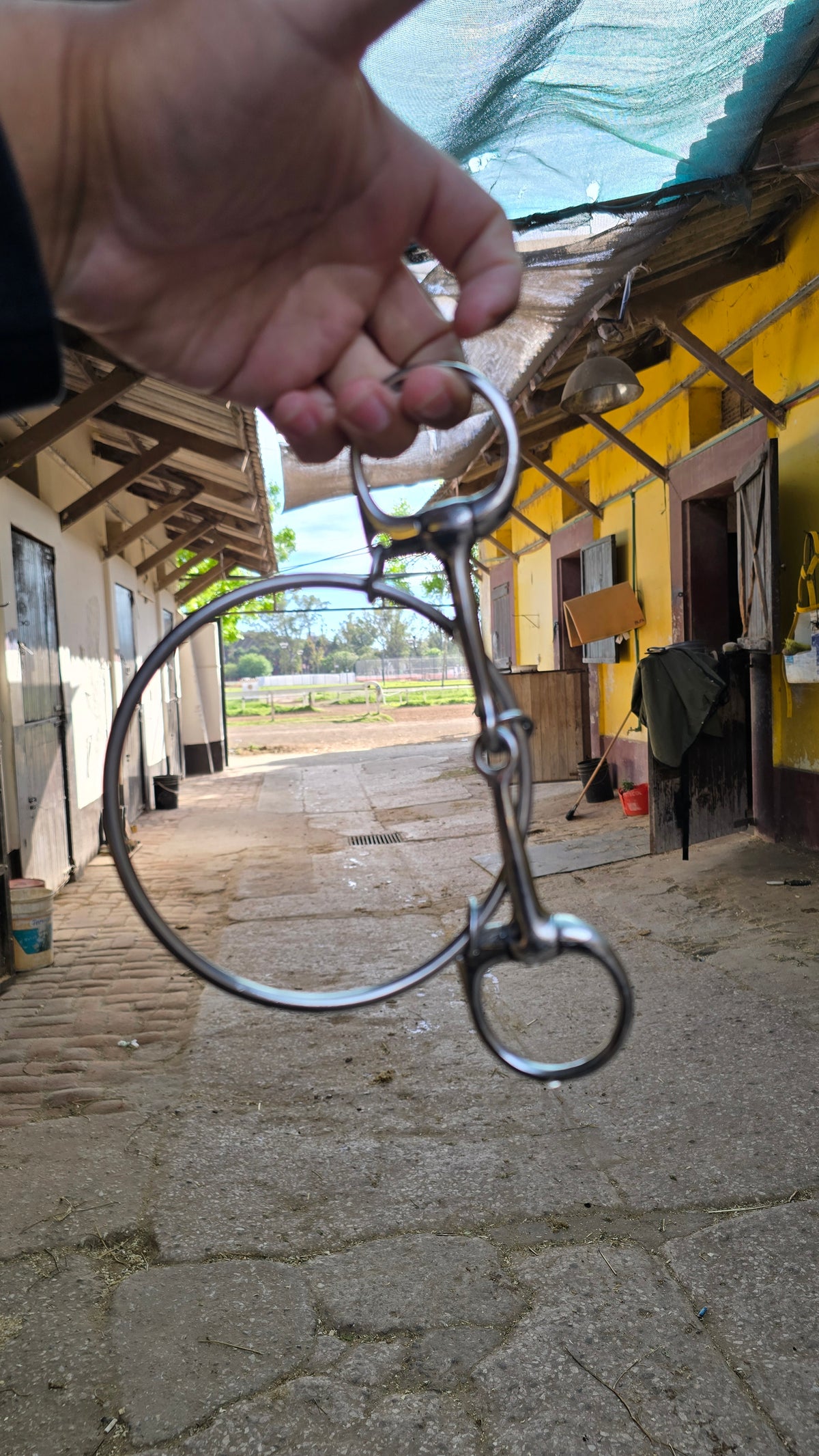 Ring Bit Dexter en el stud