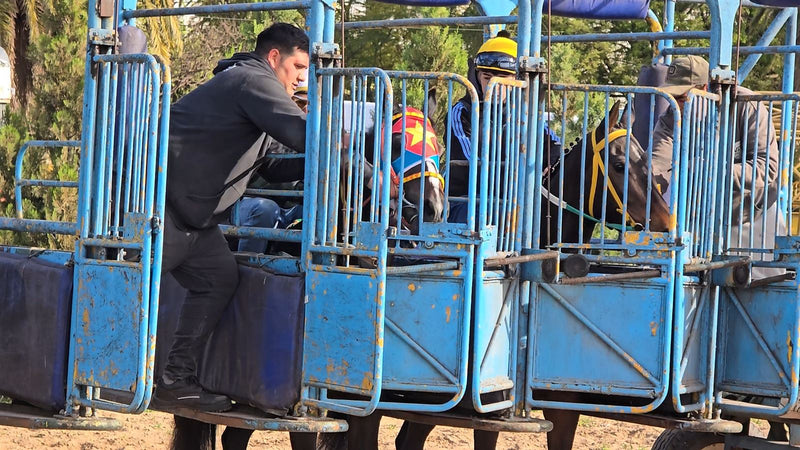 Julián en la gatera acomodando al caballo antes de la largada